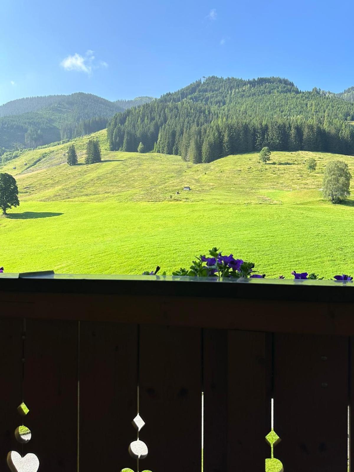 Sportpension Enzian Saalbach-Hinterglemm Eksteriør billede